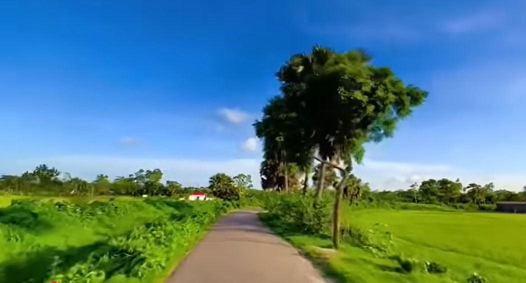 গ্রামীণ  প্রকৃতির সৌন্দর্য
