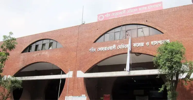 ব্যাগ ধরে টান ছিনতাইকারীর, রিকশা থেকে পড়ে নারীর মৃত্যু