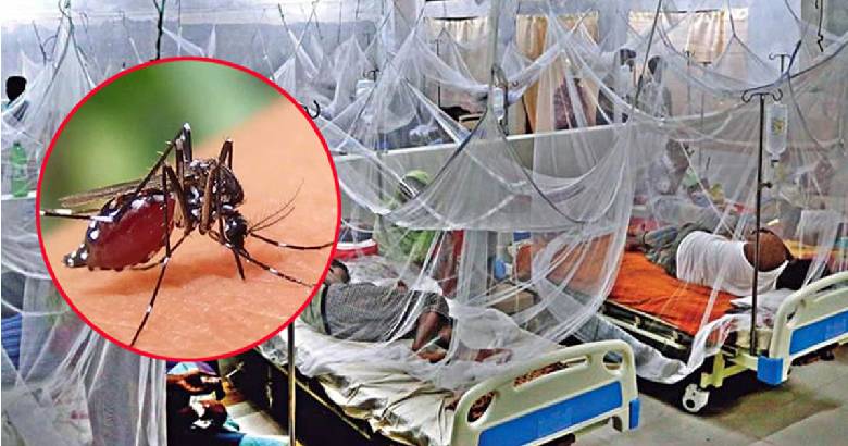 ডেঙ্গুতে মৃত্যু ৪, শনাক্তে রেকর্ড