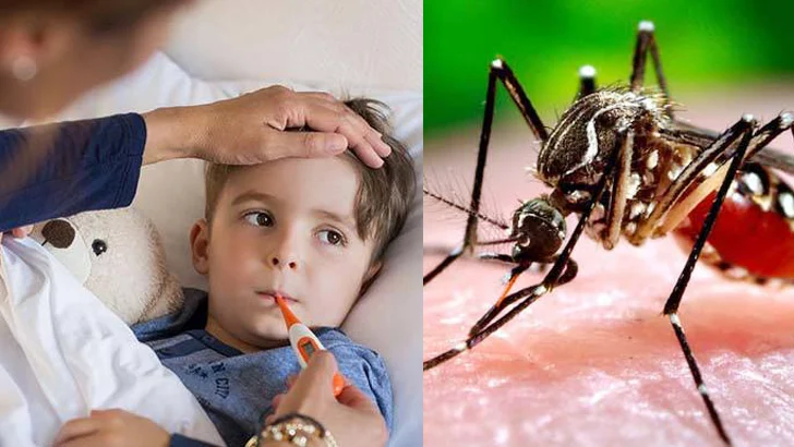 ডেঙ্গুতে একদিনে ৩ জনের মৃত্যু, আক্রান্ত ৯৯৪