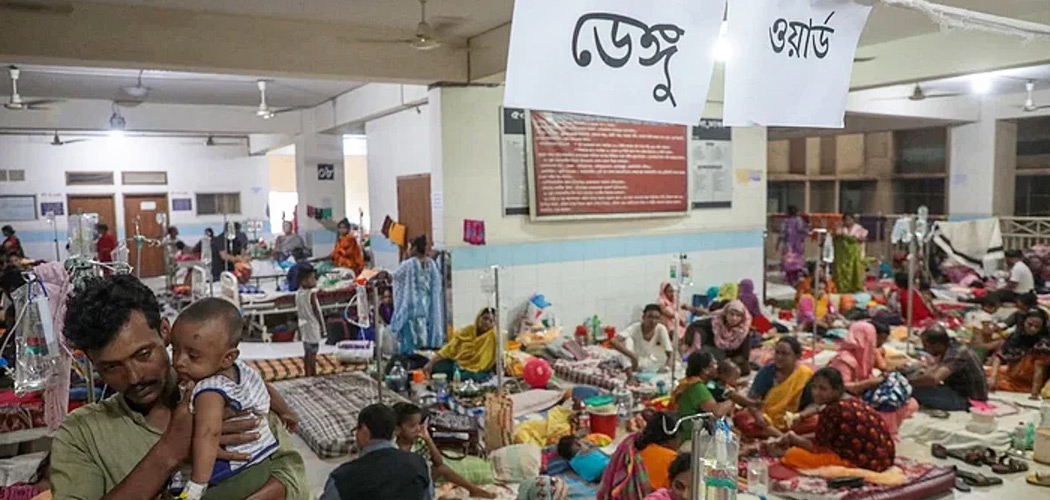 ডেঙ্গুতে ২৪ ঘণ্টায় আরও আটজনের মৃত্যু