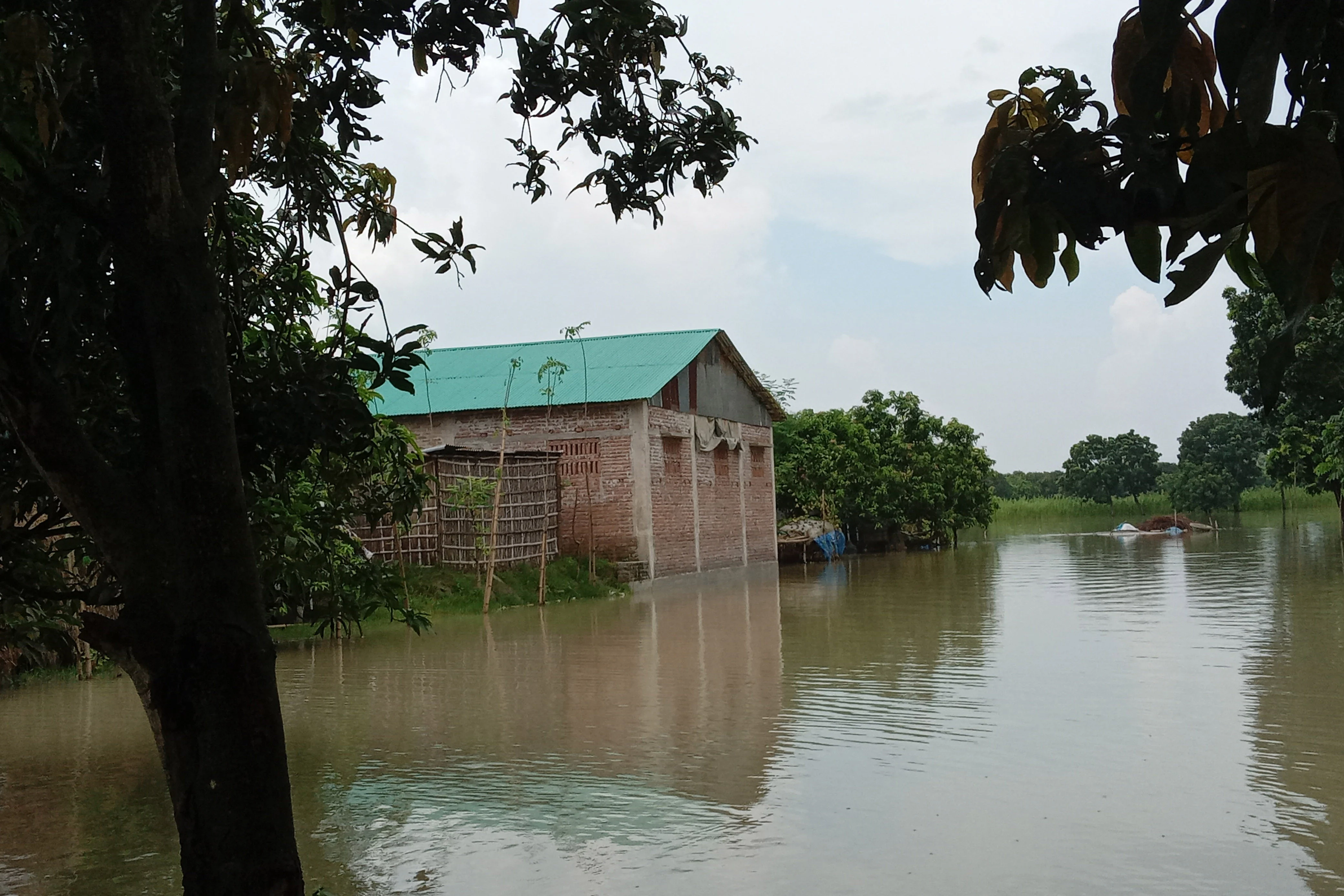 পদ্মা নদীতে বন্যা পরিস্থিতির উন্নতি, পানি কমেছে ৬ সেন্টিমিটার