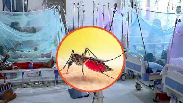 ডেঙ্গুতে প্রাণ গেল আরও ৪ জনের