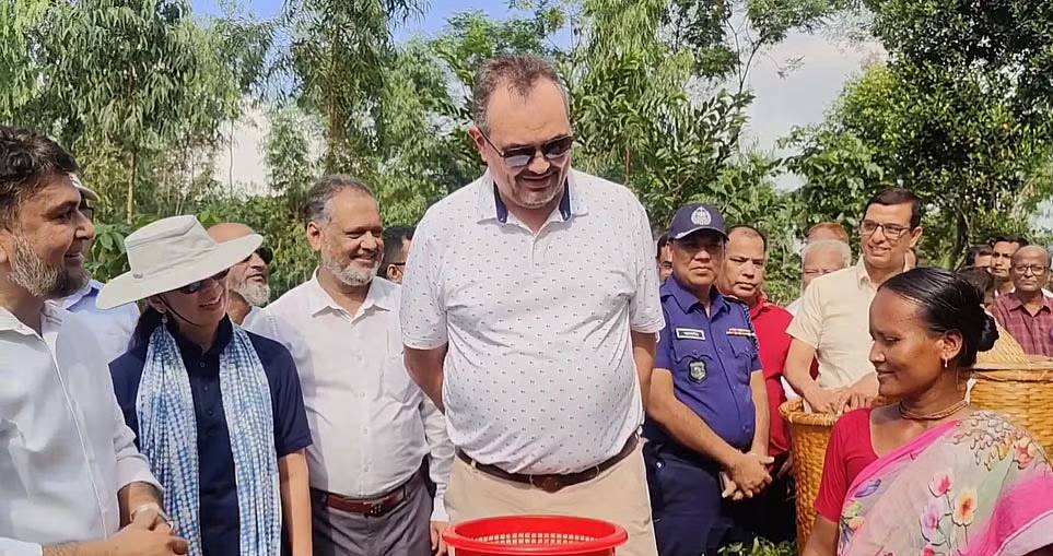 ঠাকুরগাঁওয়ে সমতলে চা চাষ ও সূর্যপূরী আমগাছ দেখে মুগ্ধ মার্কিন রাষ্ট্রদূত