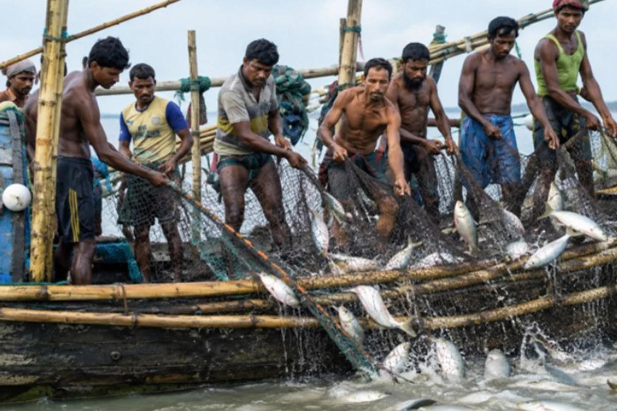সাড়ে ৬ লাখ জেলে পরিবার পাচ্ছে ১৬৫৭ মেট্রিক টন চাল