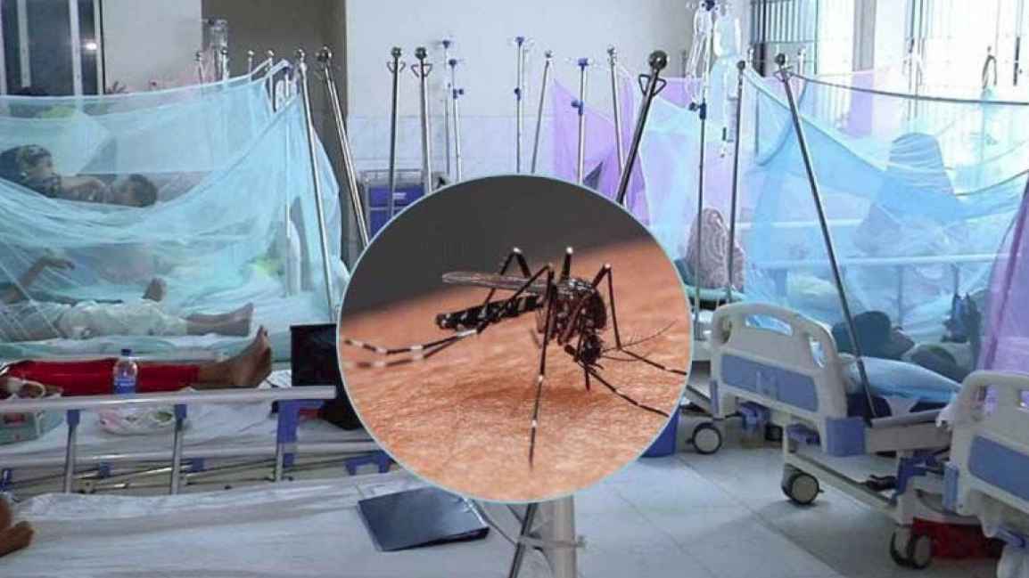 ডেঙ্গু কেড়ে নিল আরও ৬ প্রাণ