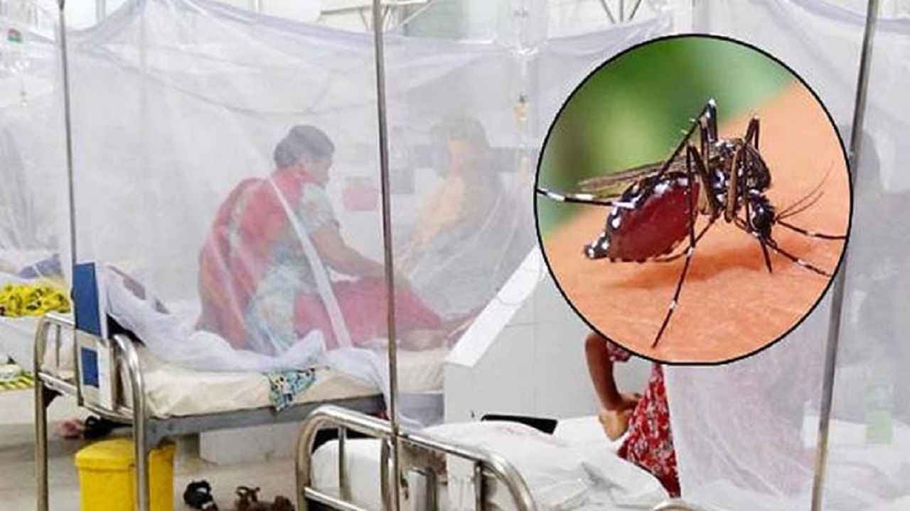 সারা দেশে ডেঙ্গুতে আরও ৪ জনের মৃত্যু