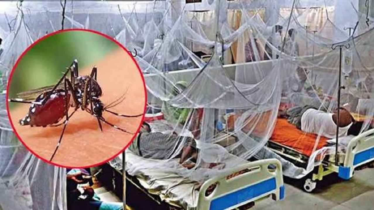 ২৪ ঘণ্টায় ডেঙ্গুতে আরও ৫ জনের মৃত্যু